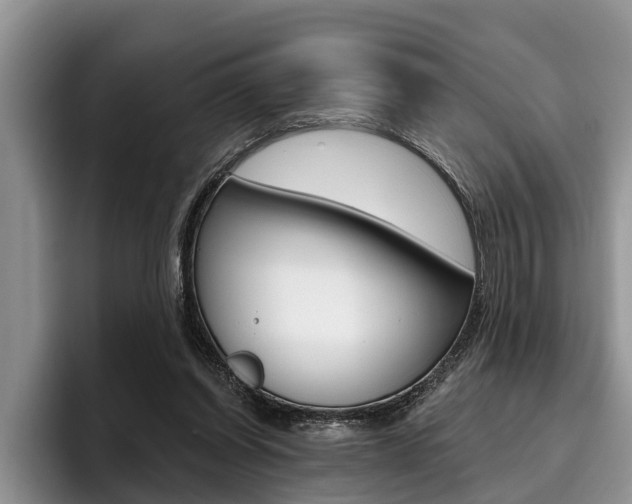 X0000096170254200801180836