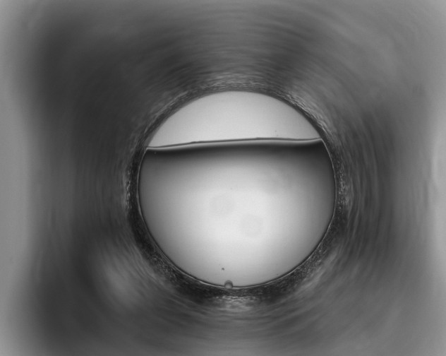 X0000096170255200801180836
