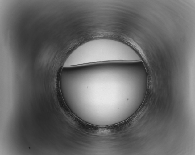 X0000096170257200801180836
