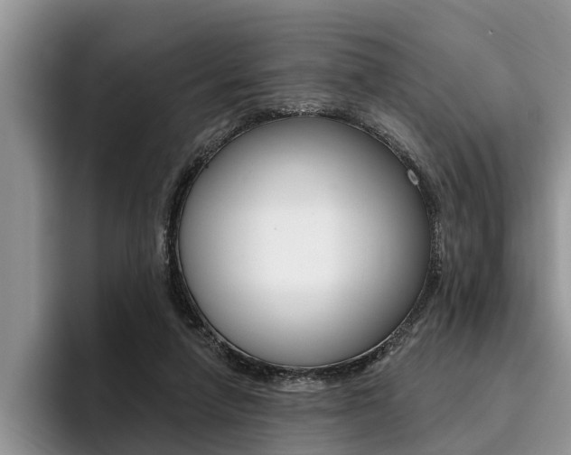 X0000096170258200801180836