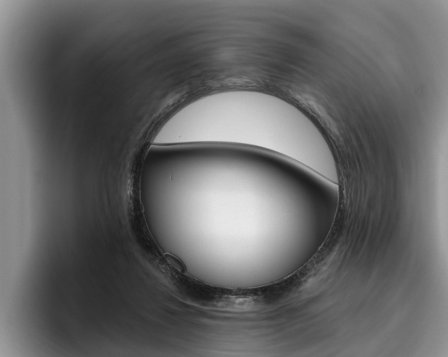 X0000096170260200801180836