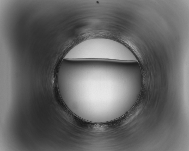 X0000096170261200801180836