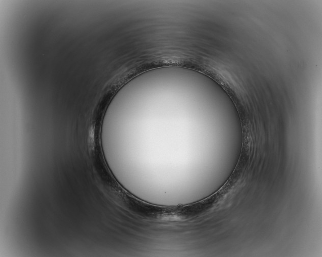 X0000096170262200801180836