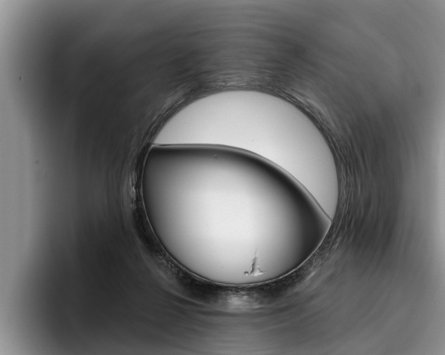 X0000096170264200801180836