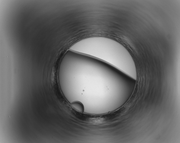 X0000096170266200801180836