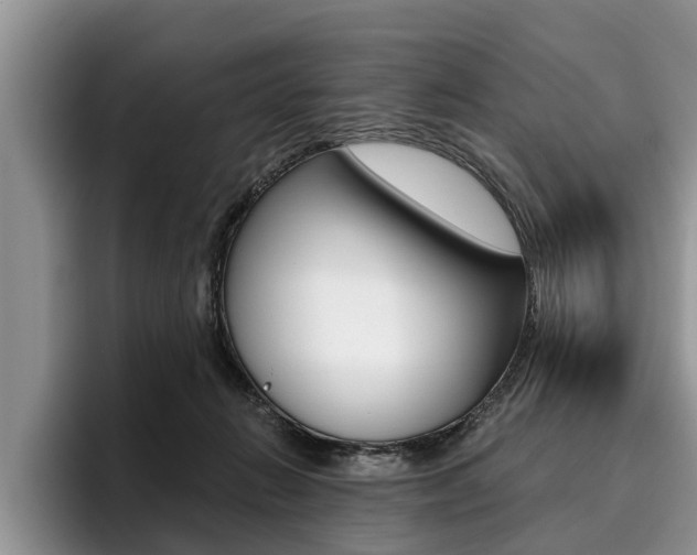 X0000096170270200801180836