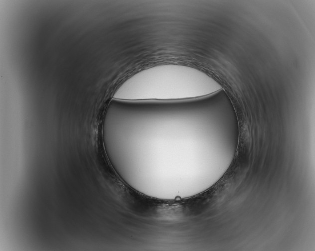 X0000096170271200801180836