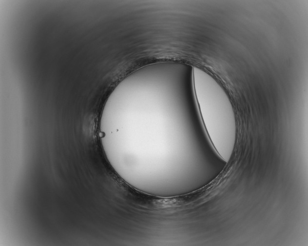 X0000096170273200801180836