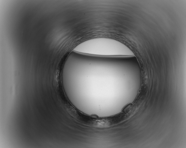 X0000096170275200801180836