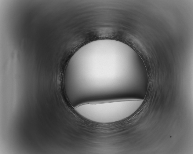 X0000096170277200801180836