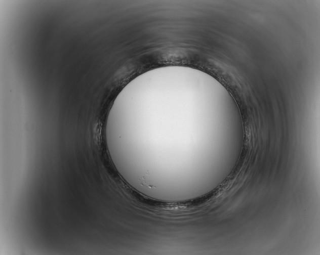 X0000096170278200801180836