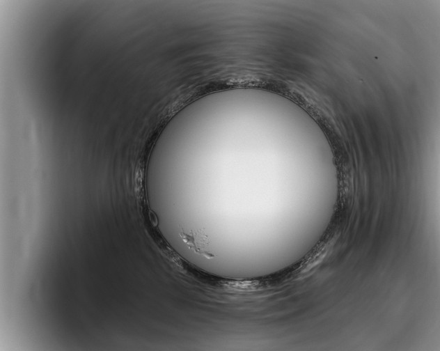 X0000096170281200801180836