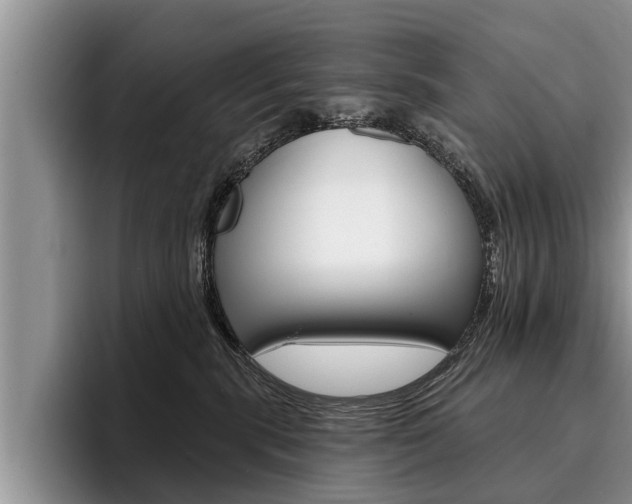 X0000096170283200801180836