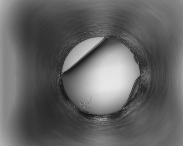 X0000096170284200801180836