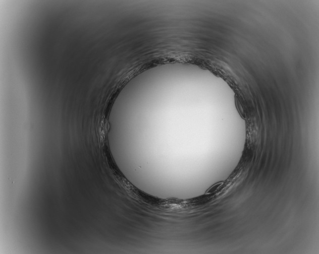 X0000096170285200801180836