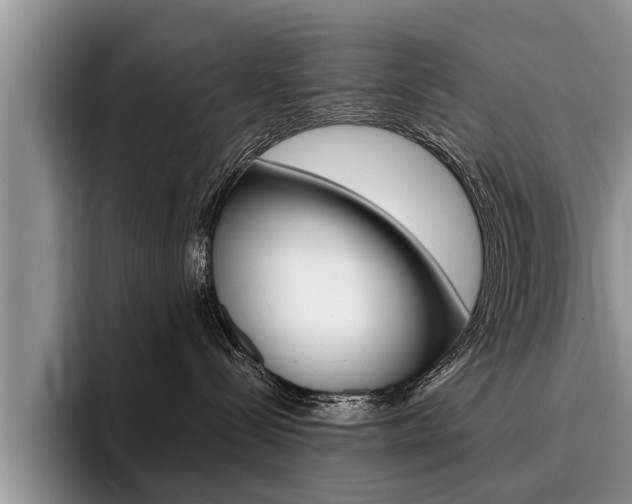X0000096170288200801180836