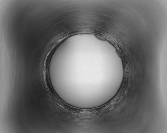 X0000096170290200801180836