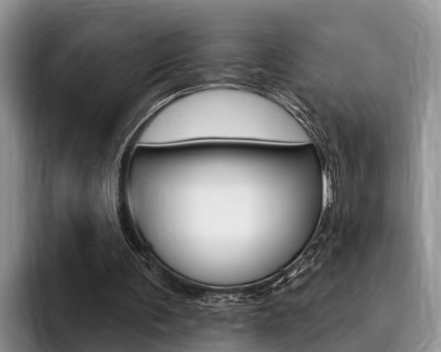 X0000096170291200801180835