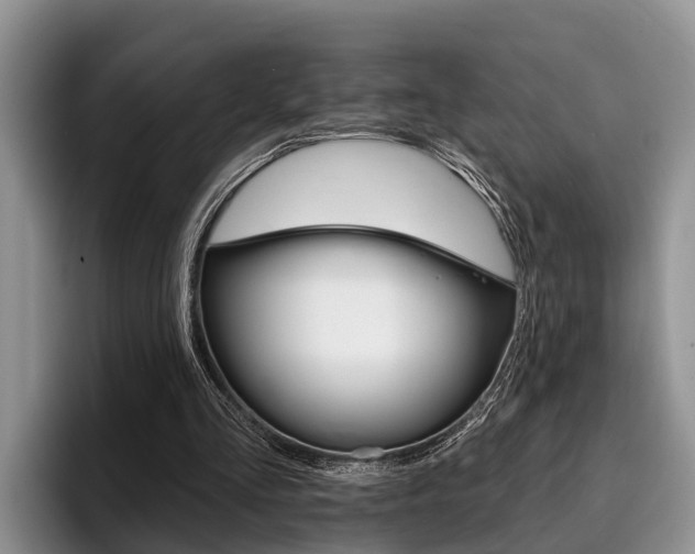 X0000096170293200801180835