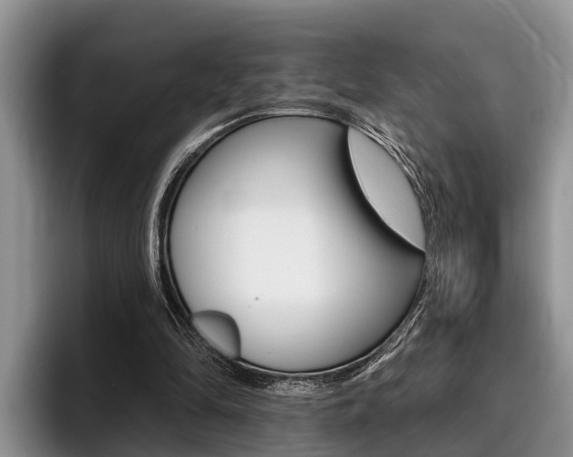 X0000096170294200801180835