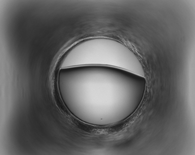 X0000096170295200801180835
