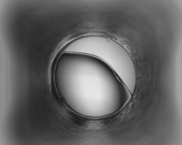 X0000096170296200801180835