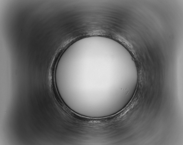 X0000096170298200801180835