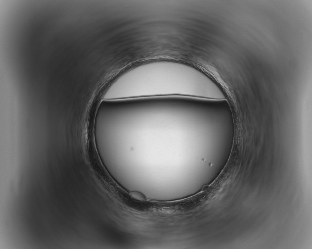 X0000096170299200801180835