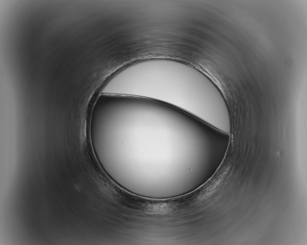X0000096170301200801180835