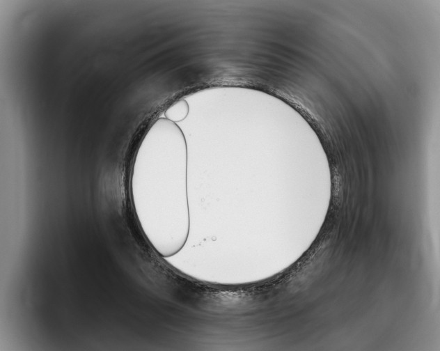 X0000096170302200801180835