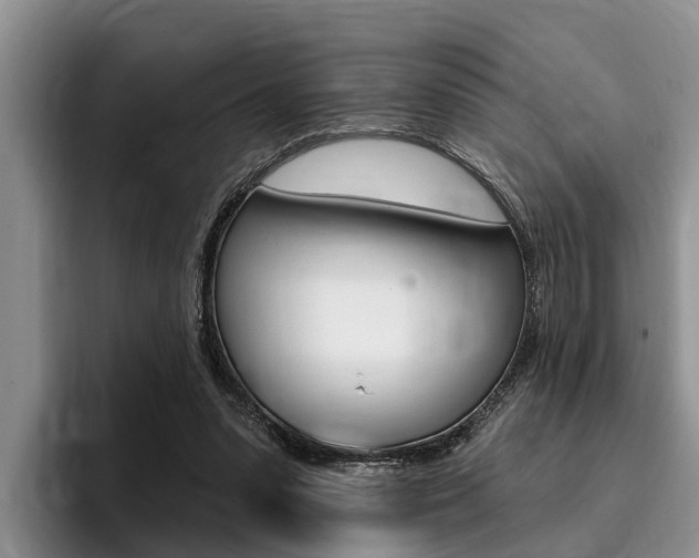 X0000096170303200801180835