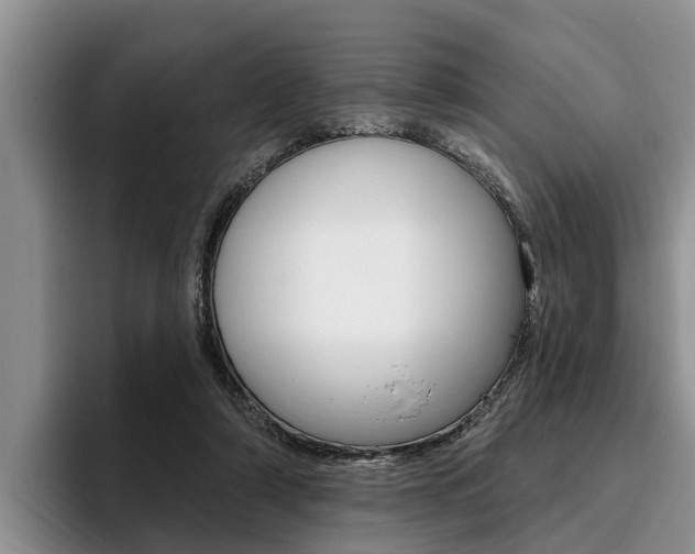 X0000096170306200801180835