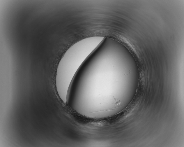 X0000096170307200801180835