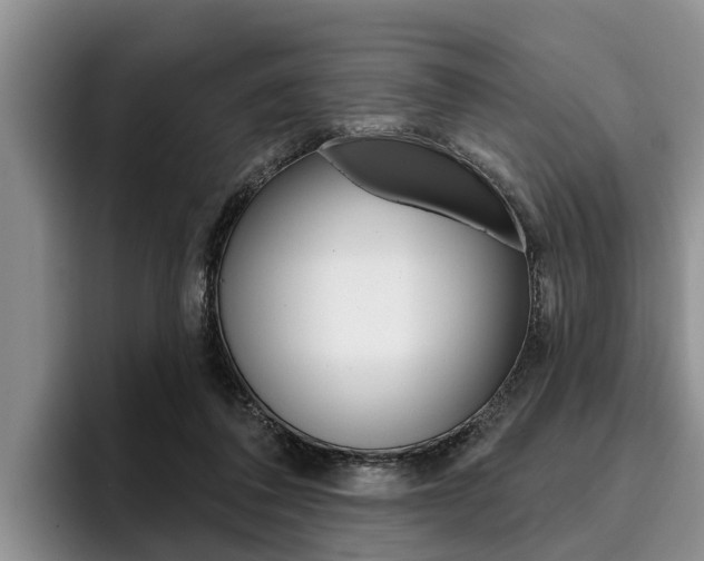 X0000096170308200801180835