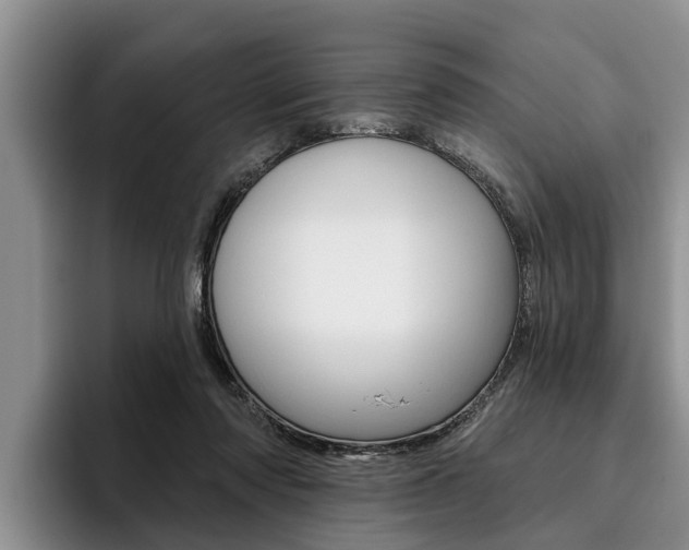 X0000096170310200801180835