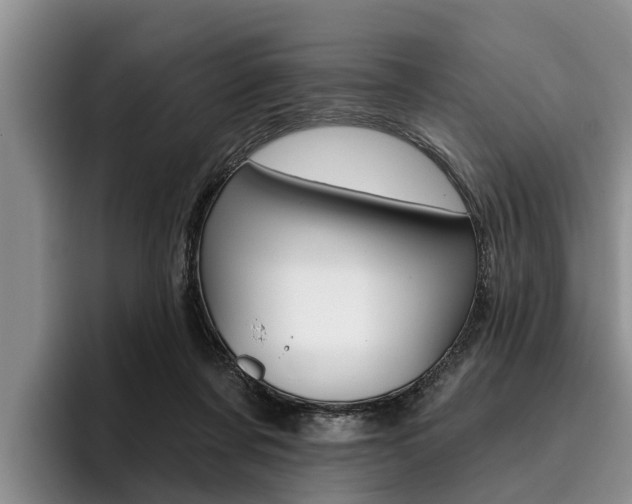 X0000096170311200801180835