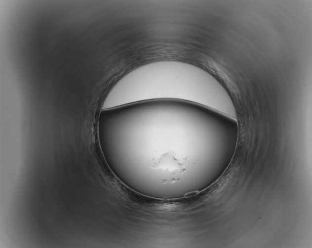 X0000096170313200801180835