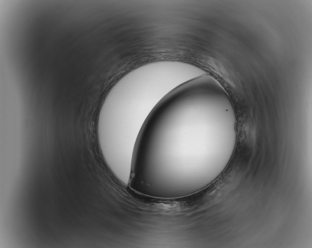 X0000096170317200801180835