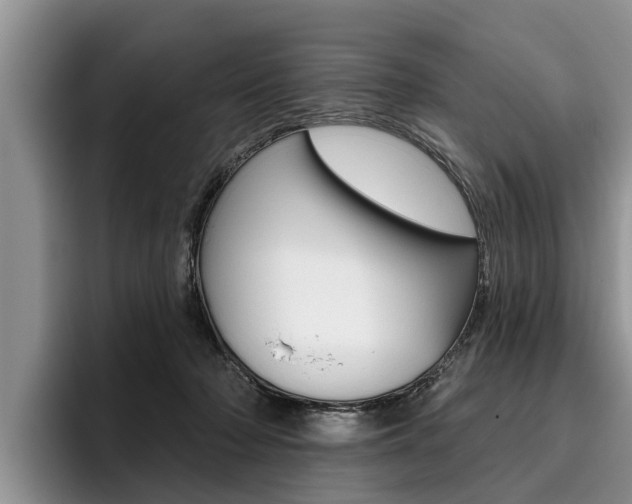 X0000096170318200801180835