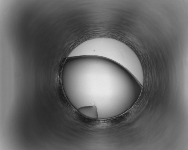 X0000096170320200801180835