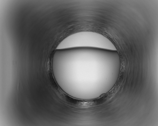 X0000096170323200801180835