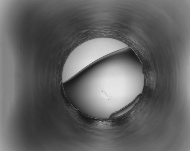 X0000096170327200801180835