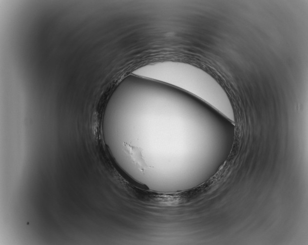 X0000096170328200801180835