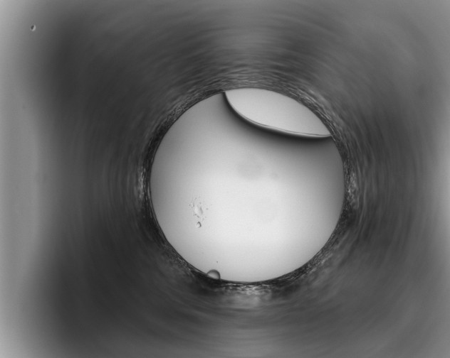 X0000096170330200801180835