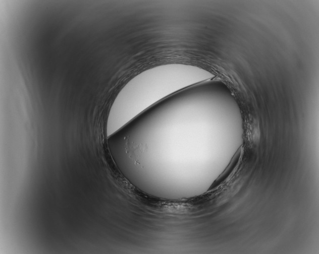 X0000096170332200801180835