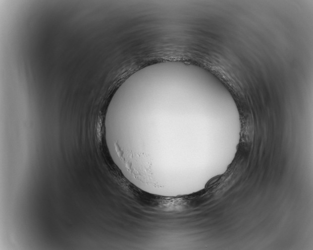 X0000096170334200801180835