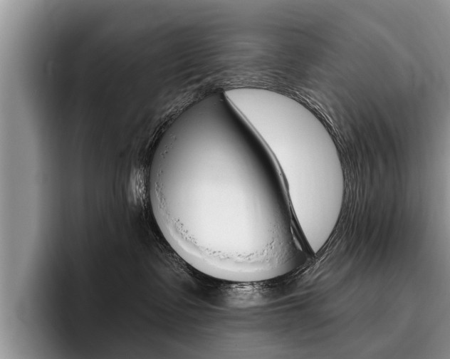 X0000096170335200801180835