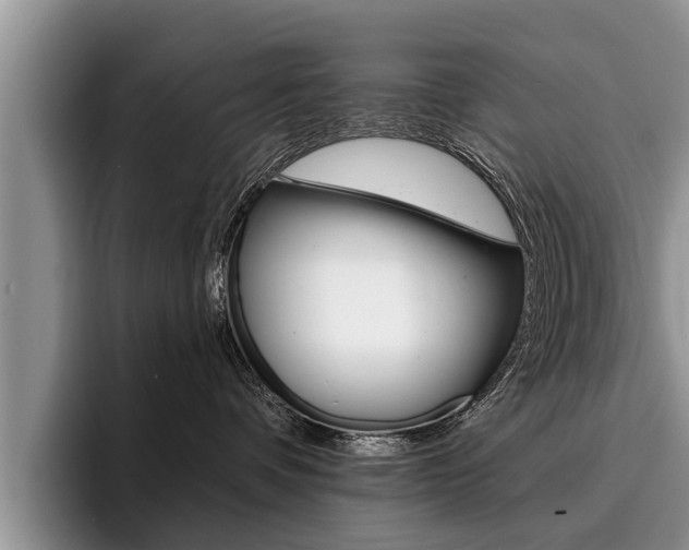 X0000096170336200801180835