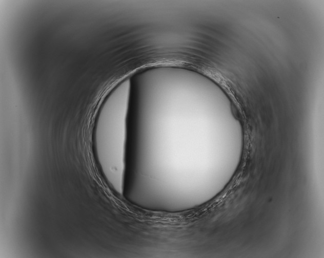 X0000096170337200801180834