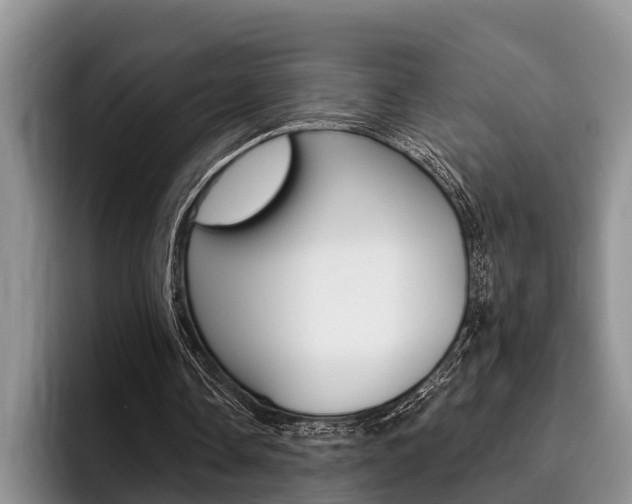 X0000096170338200801180834